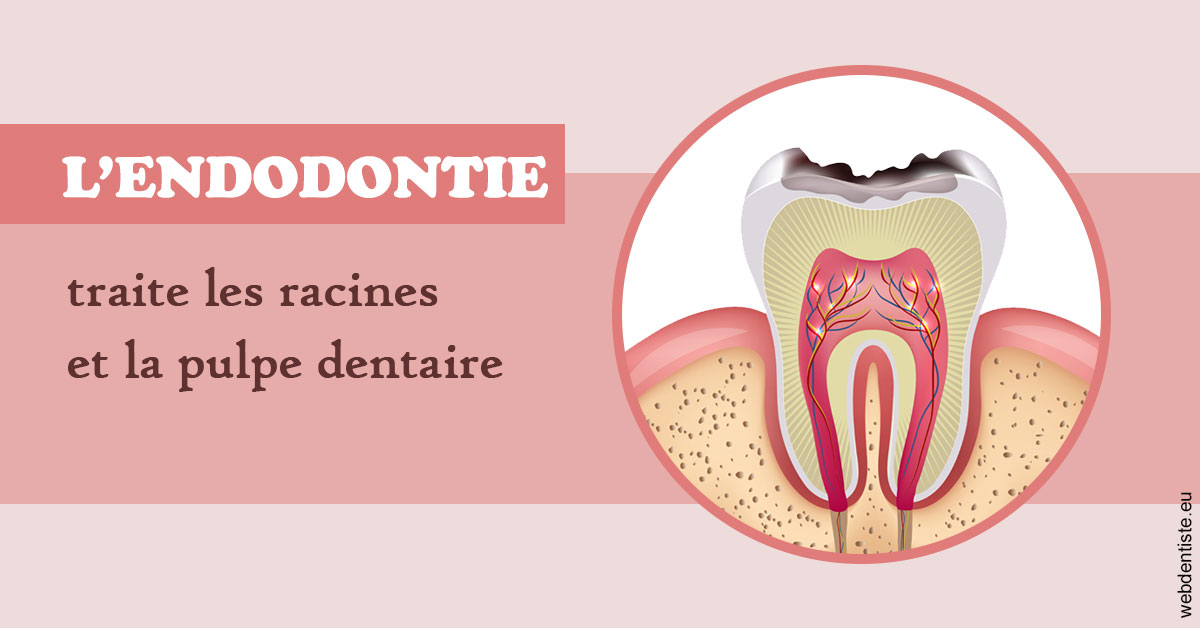https://dr-sebag-leon.chirurgiens-dentistes.fr/L'endodontie 2
