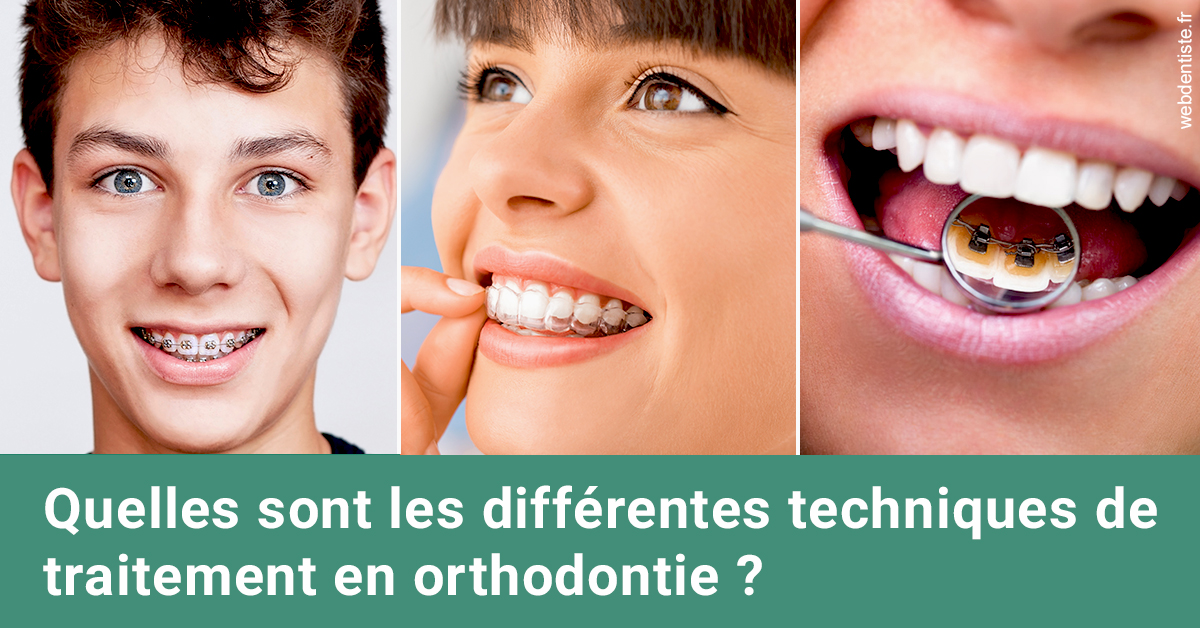 https://dr-sebag-leon.chirurgiens-dentistes.fr/Les différentes techniques de traitement 2
